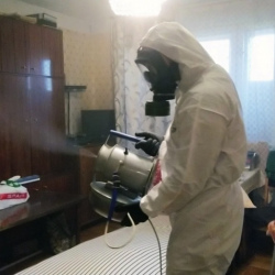 Дезинфекция от клопов в Балашихе