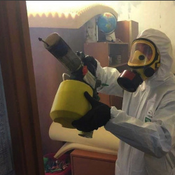 Уничтожение клопов в квартире. Балашиха